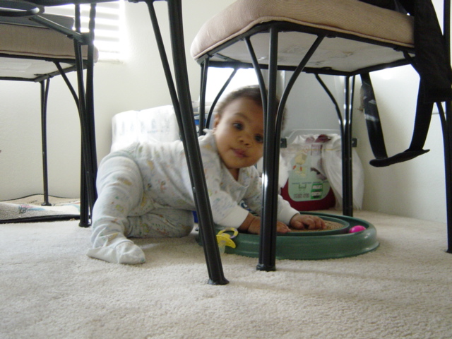 I can crawl all over the house.