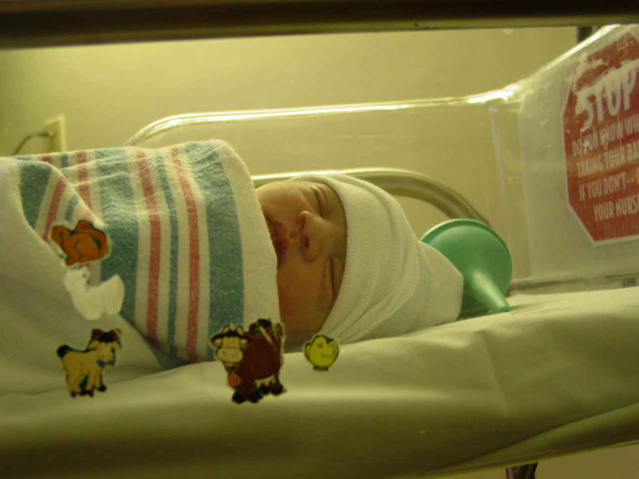 I just had my first sponge bath.