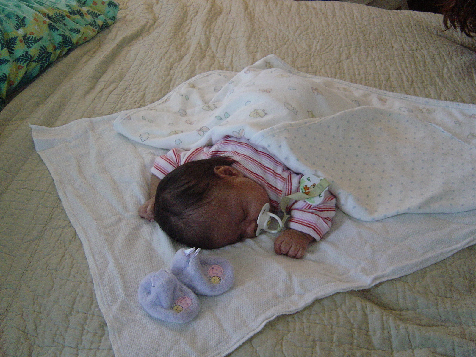 NAPS ARE SO GOOD!